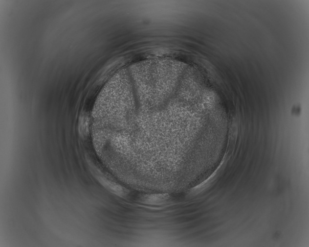 X0000088890191200707061440