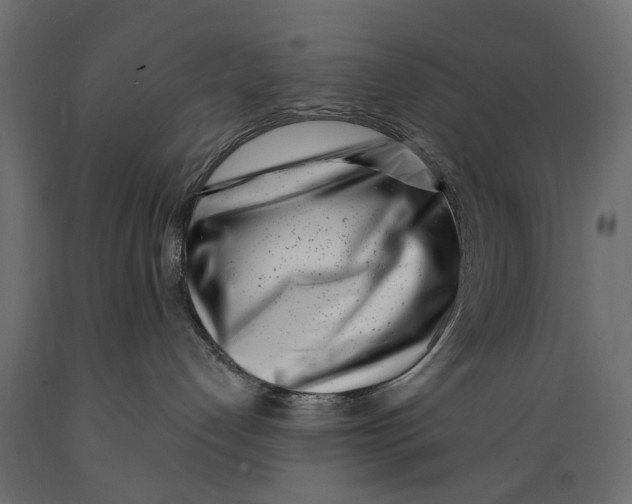 X0000088890192200707061440