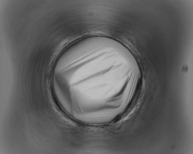 X0000088890193200707061439
