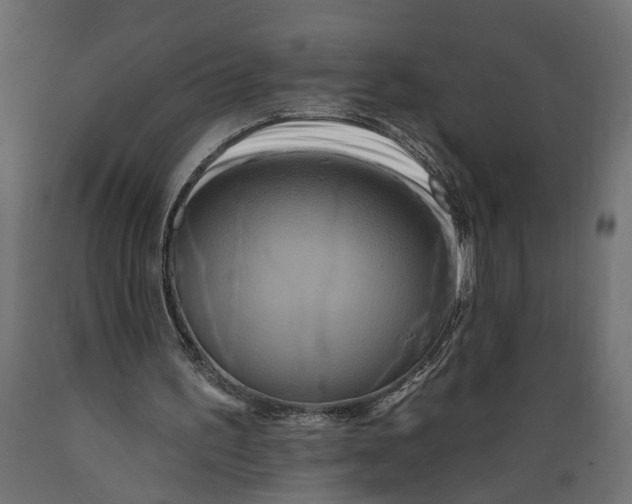 X0000088890195200707061439