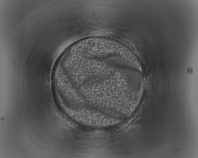 X0000088890196200707061439
