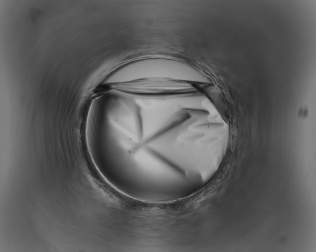 X0000088890197200707061439