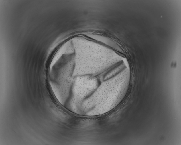X0000088890198200707061439