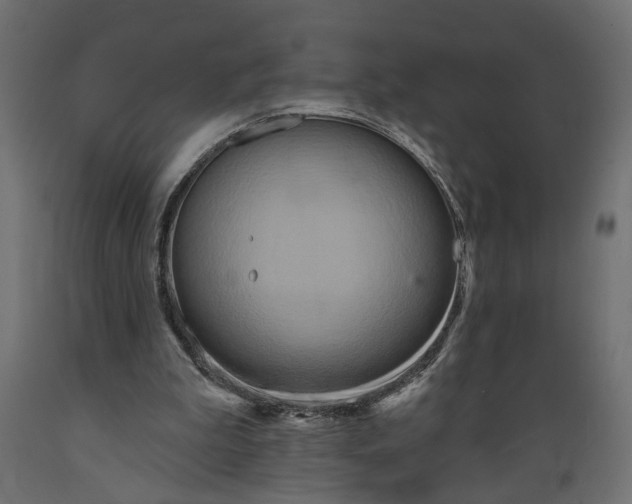 X0000088890199200707061439