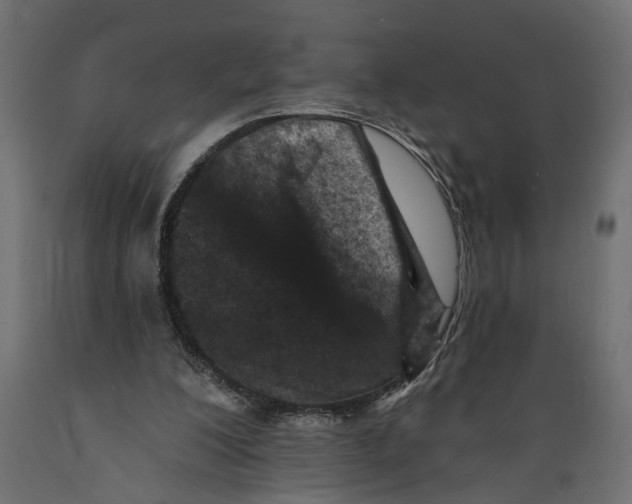 X0000088890200200707061439
