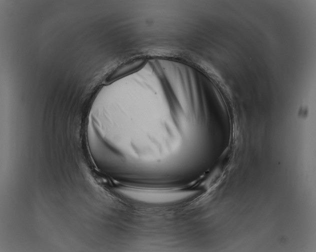 X0000088890201200707061439