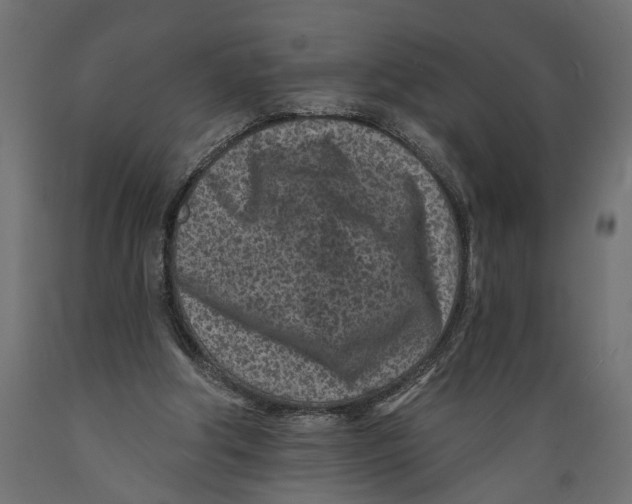 X0000088890202200707061439