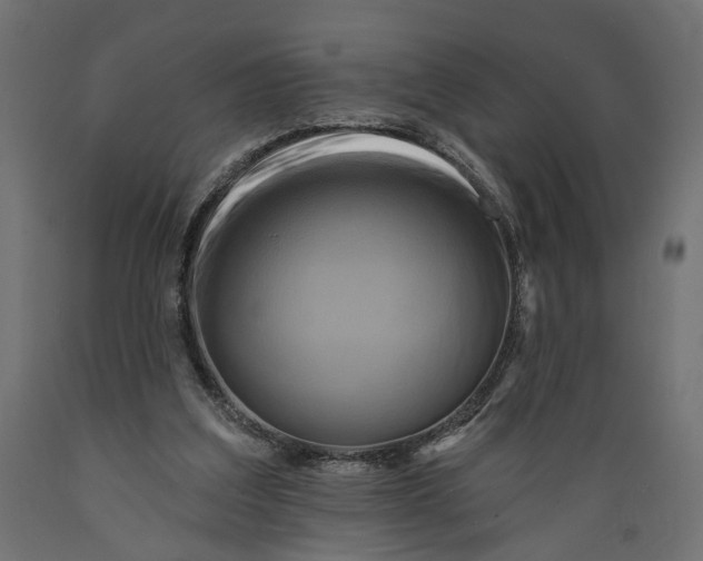 X0000088890203200707061439