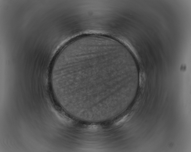 X0000088890204200707061439