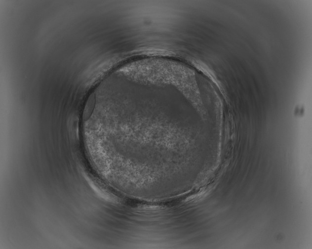 X0000088890205200707061439