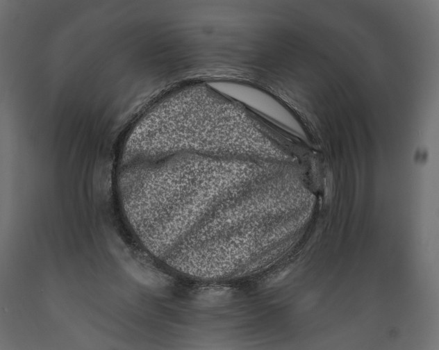 X0000088890206200707061439