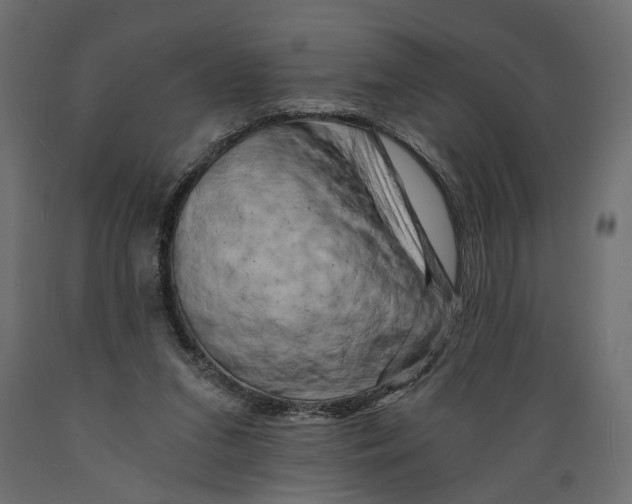 X0000088890207200707061439