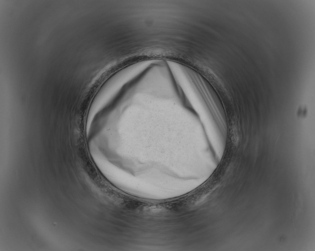 X0000088890208200707061439