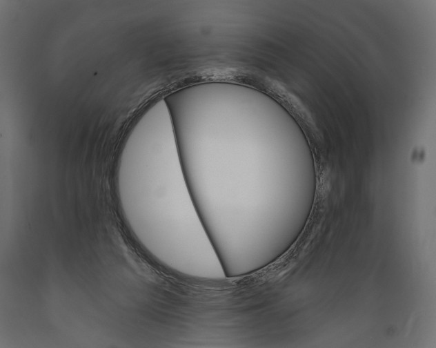 X0000088890209200707061439