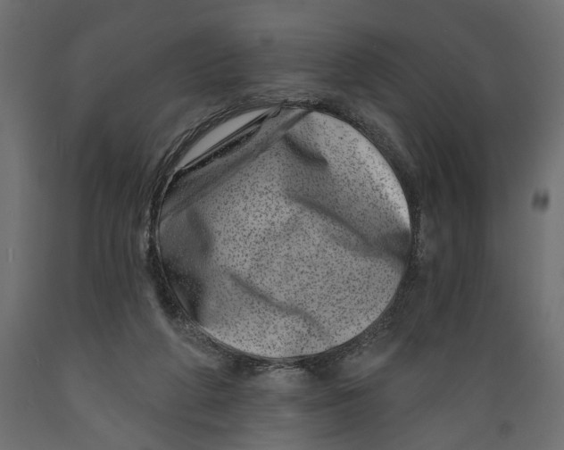 X0000088890210200707061439