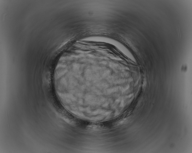X0000088890211200707061439