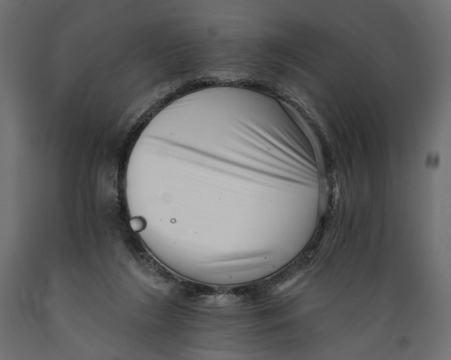X0000088890212200707061439