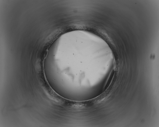 X0000088890213200707061439