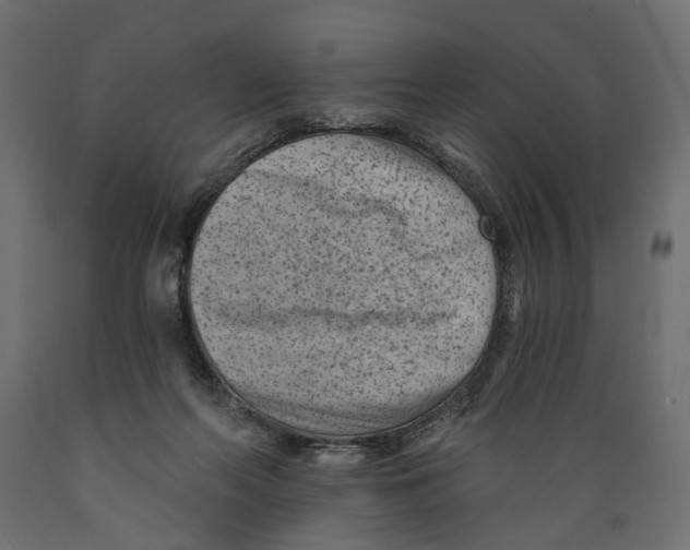 X0000088890214200707061439