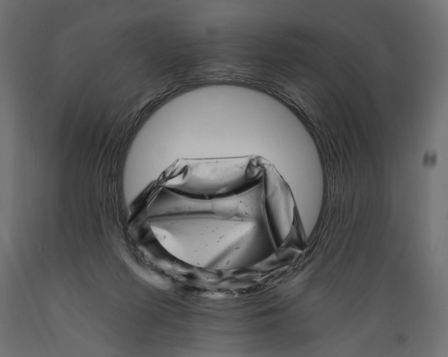 X0000088890215200707061439