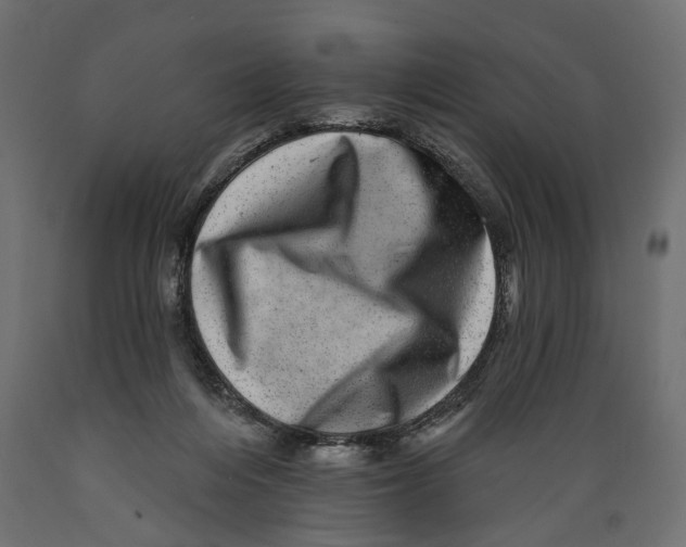 X0000088890216200707061439