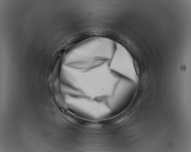 X0000088890217200707061439