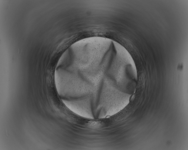 X0000088890218200707061439