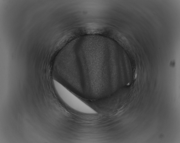 X0000088890219200707061439