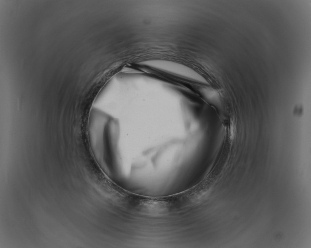 X0000088890221200707061439