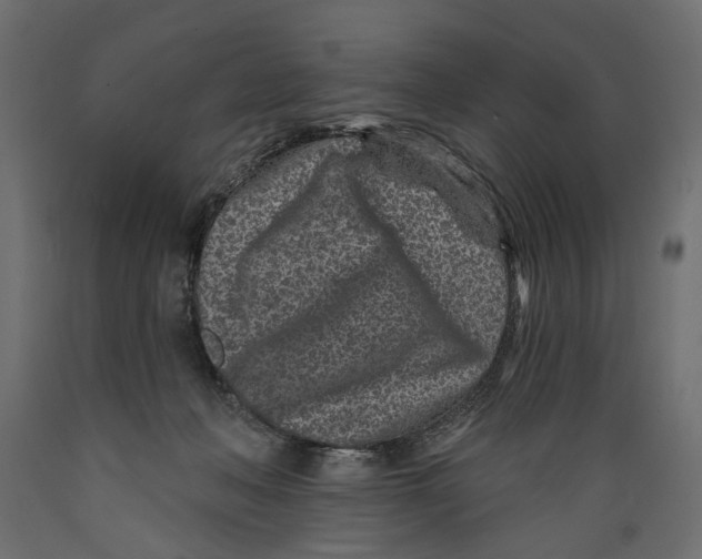 X0000088890222200707061439