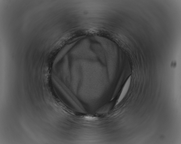 X0000088890223200707061439