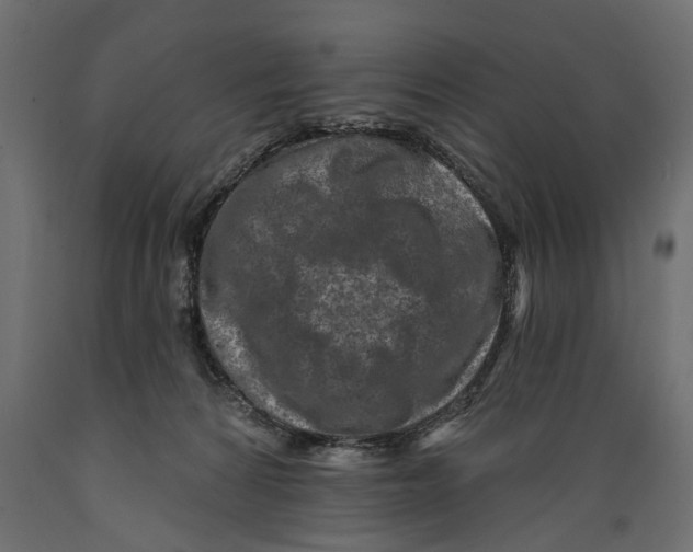X0000088890224200707061439