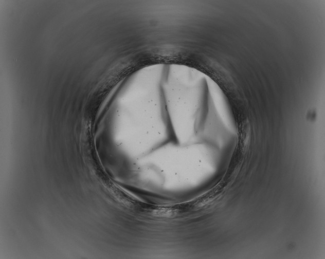 X0000088890225200707061439