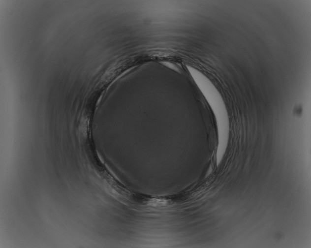 X0000088890227200707061439