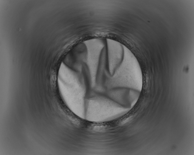 X0000088890228200707061439