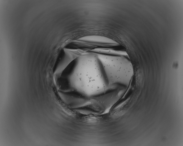 X0000088890229200707061439