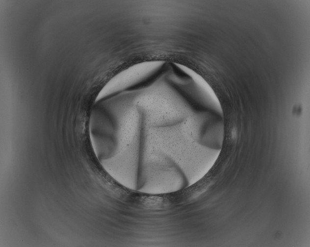 X0000088890230200707061439