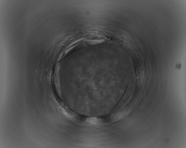 X0000088890231200707061439