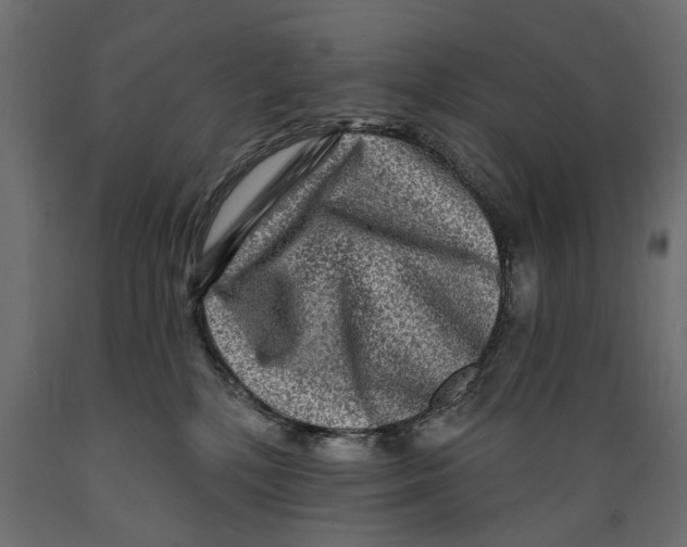 X0000088890232200707061439