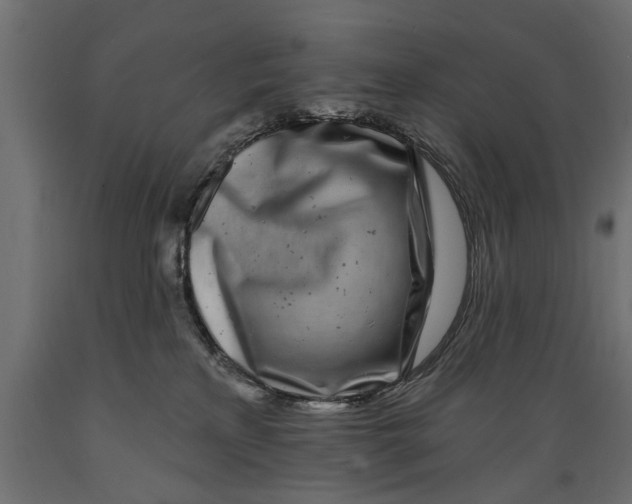 X0000088890233200707061439