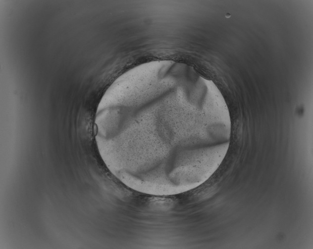 X0000088890234200707061439