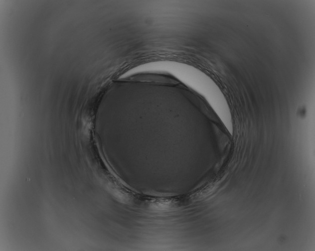 X0000088890235200707061439