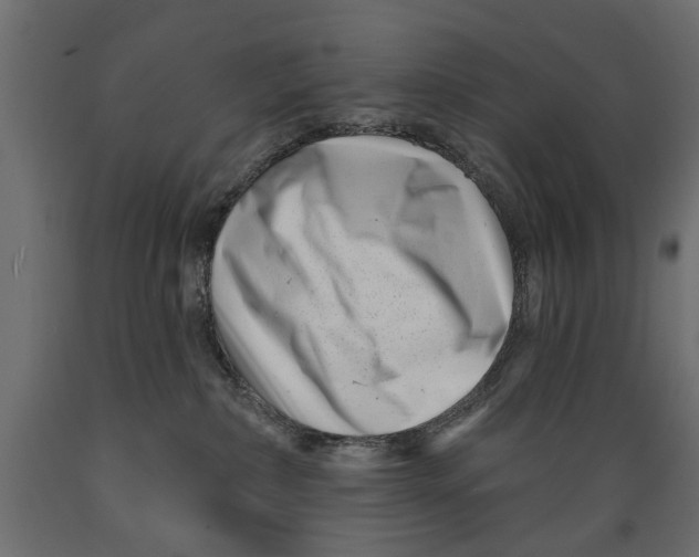 X0000088890236200707061439