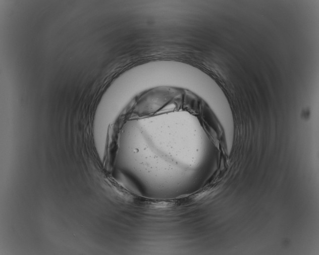X0000088890237200707061439