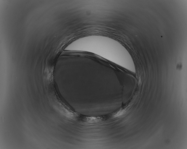 X0000088890239200707061439
