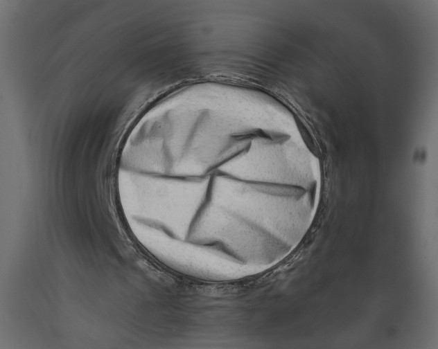 X0000088890241200707061438