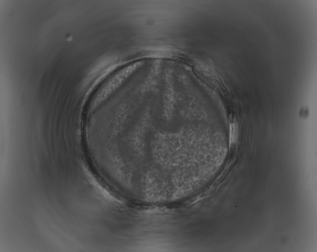 X0000088890243200707061438