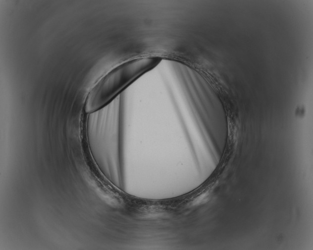 X0000088890244200707061438
