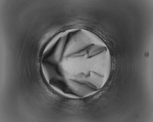 X0000088890245200707061438