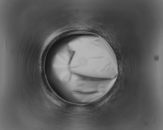 X0000088890246200707061438